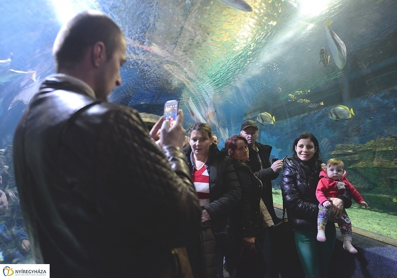 100 forintos nap az Állatparkban