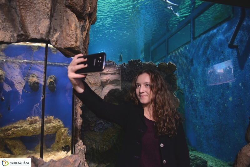 100 forintos nap az Állatparkban