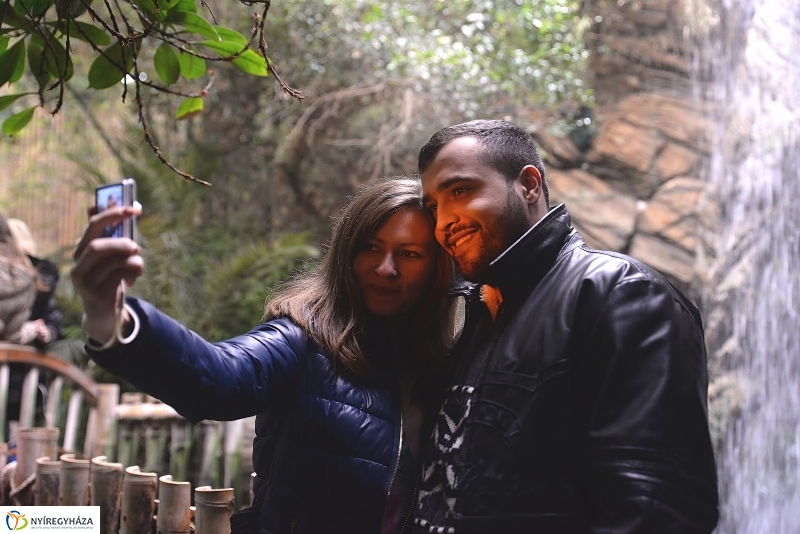 100 forintos nap az Állatparkban