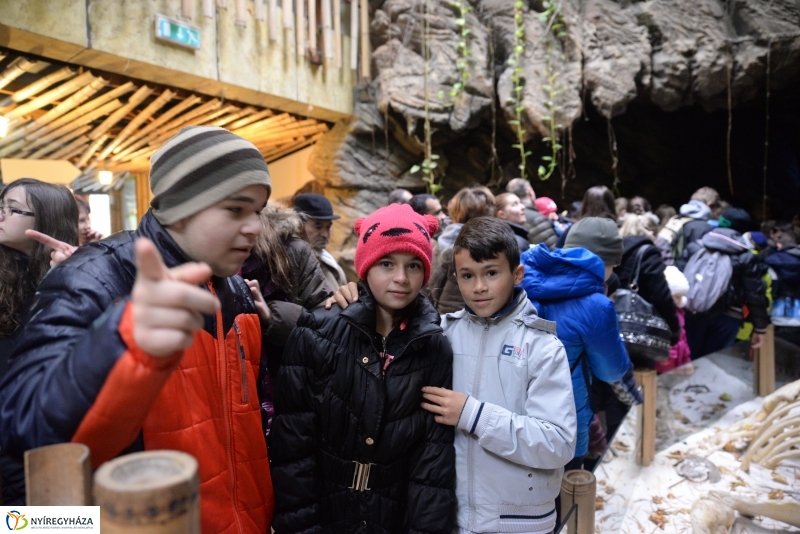 100 forintos nap az Állatparkban