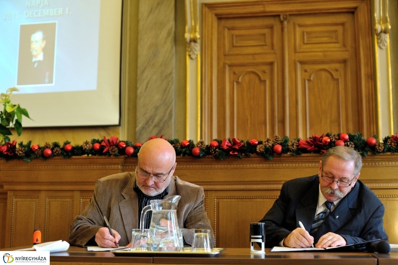 Jósa András Múzeum napja