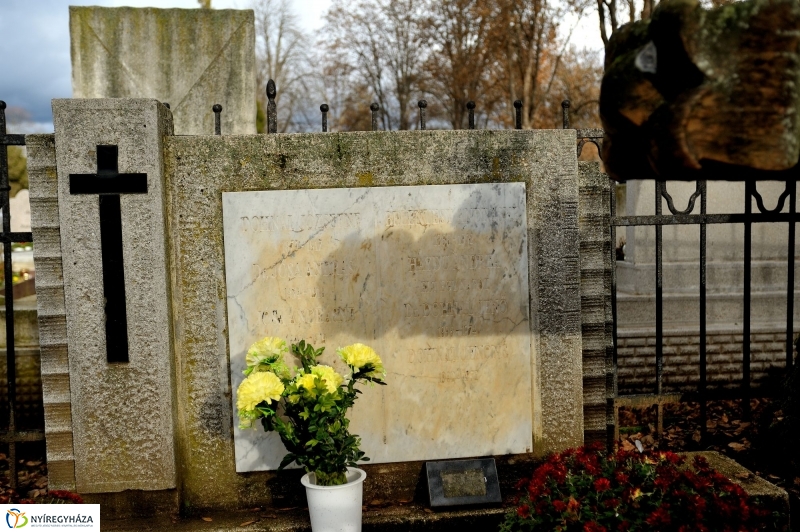 Jósa András Múzeum napja