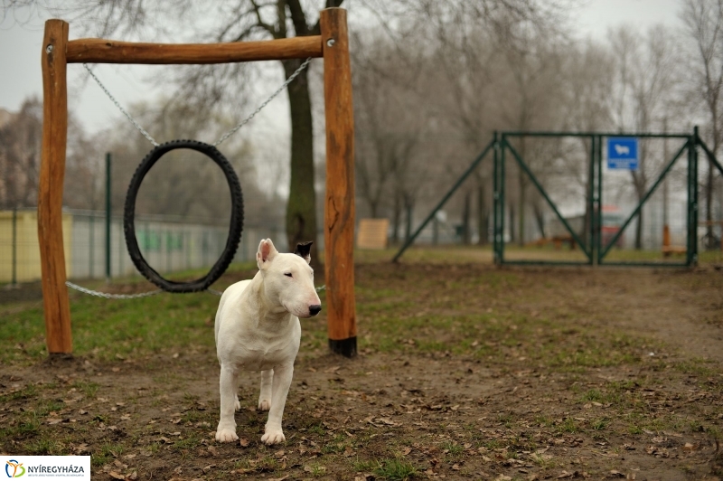 Kutyafuttató az Érkertben