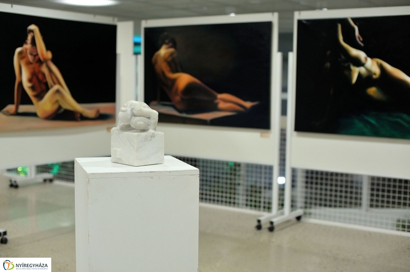 Merops gyűjtemény karácsonyi művészeti kiállítása