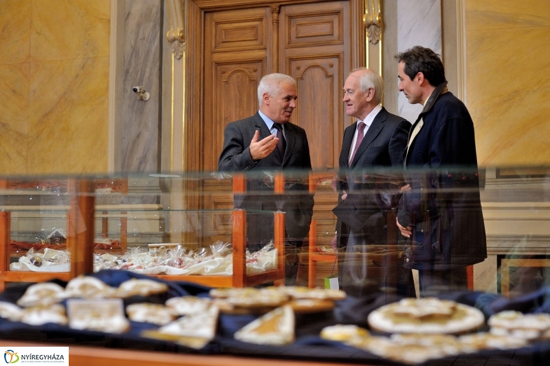 Dél-Afrikai nagykövet a Városházán