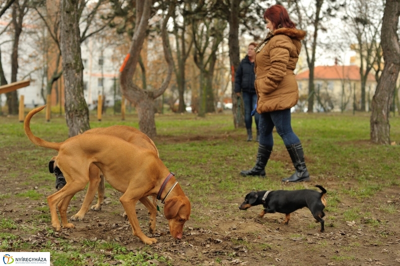 Átadták a kutyafuttatót a Jósavárosban