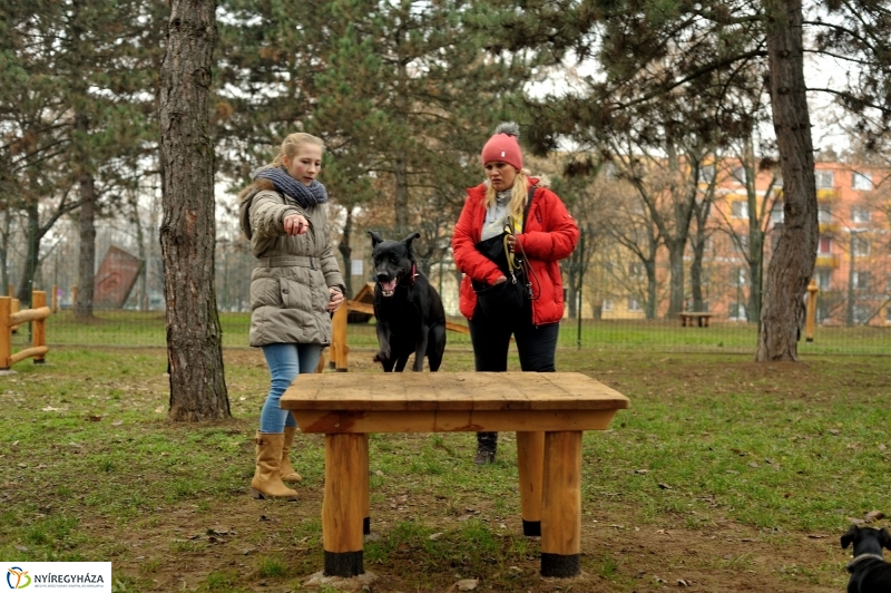 Átadták a kutyafuttatót a Jósavárosban