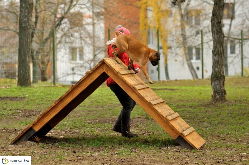 Átadták a kutyafuttatót a Jósavárosban