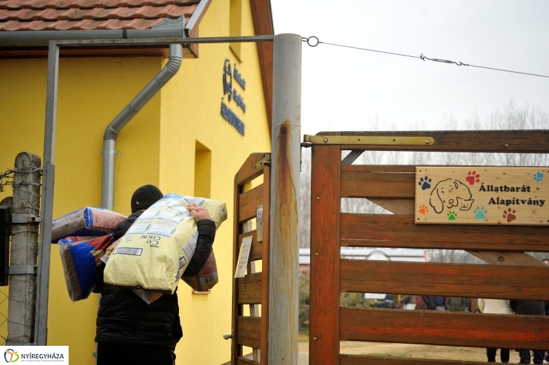 Állatok karácsonya