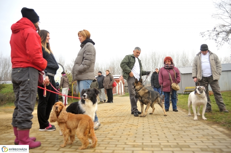 Állatok karácsonya