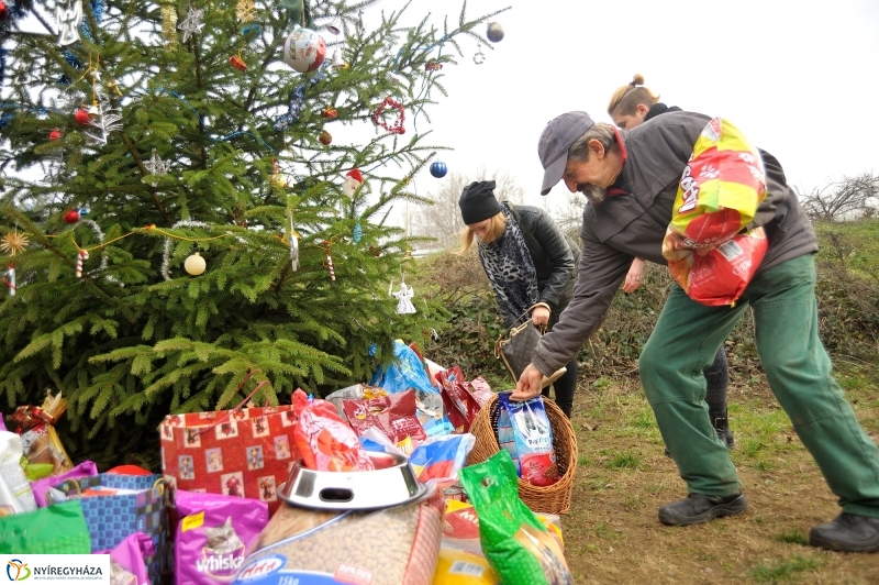 Állatok karácsonya