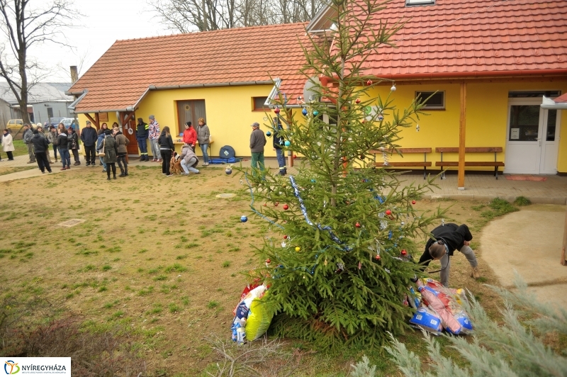 Állatok karácsonya