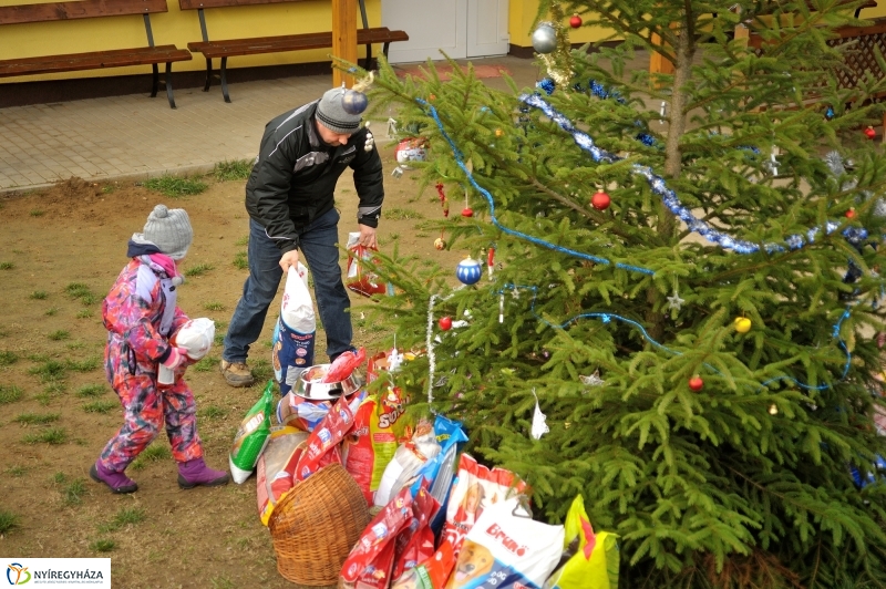 Állatok karácsonya