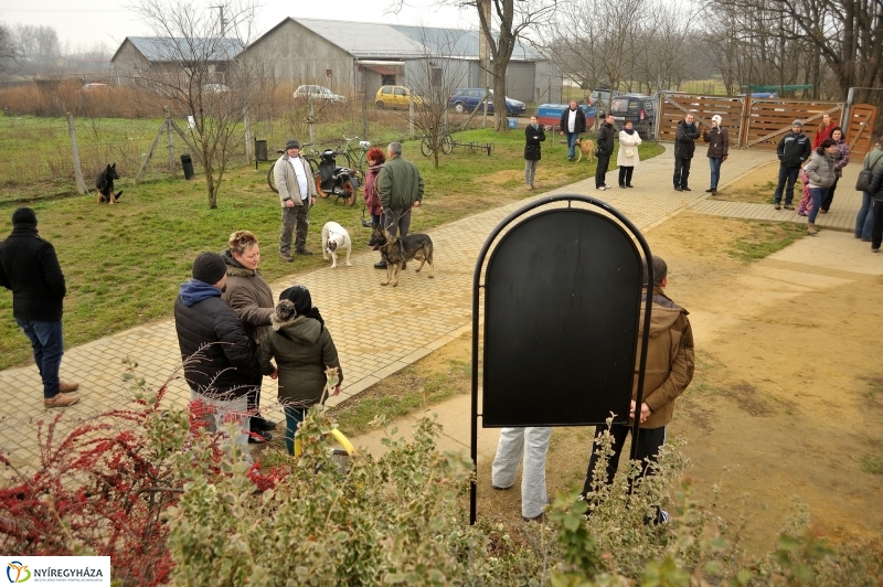 Állatok karácsonya