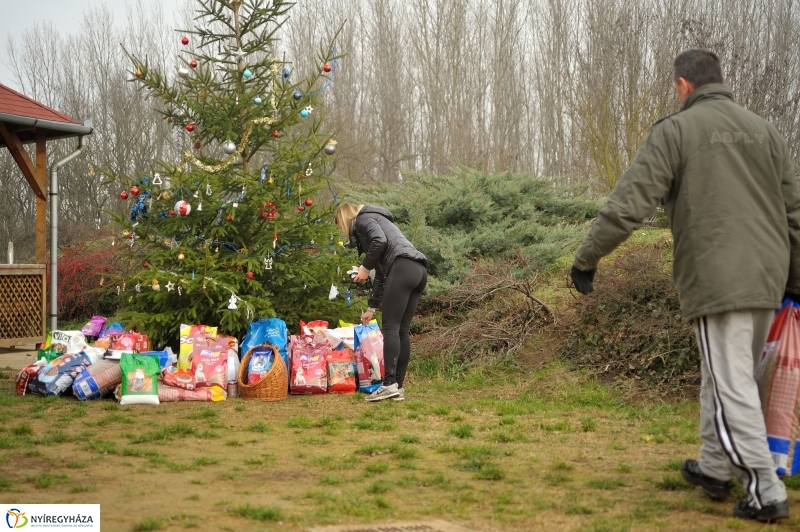 Állatok karácsonya