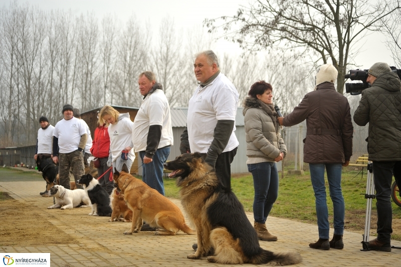 Állatok karácsonya