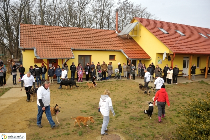 Állatok karácsonya