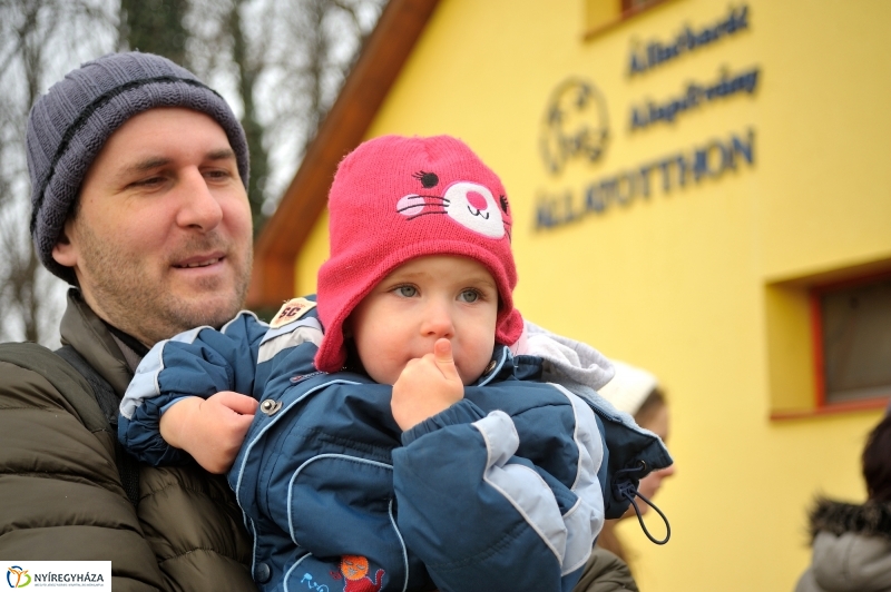 Állatok karácsonya