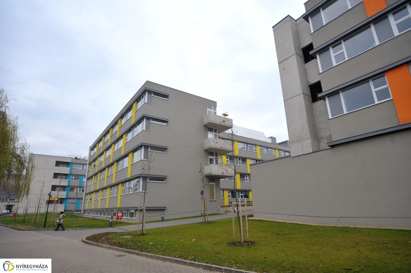 Tömbkórház projektzáró ünnepsége I.