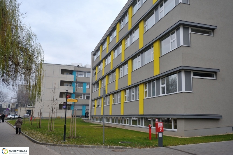 Tömbkórház projektzáró ünnepsége II.