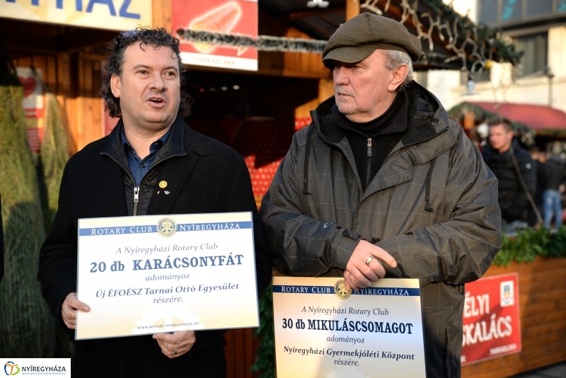 Ajándék fenyőfa a Rotary Club adományaként