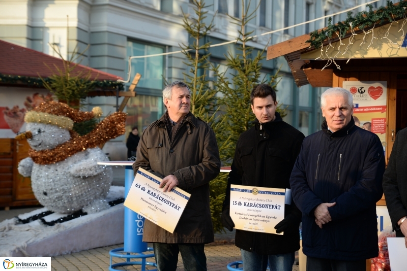 Ajándék fenyőfa a Rotary Club adományaként