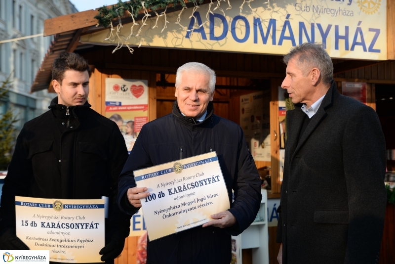 Ajándék fenyőfa a Rotary Club adományaként