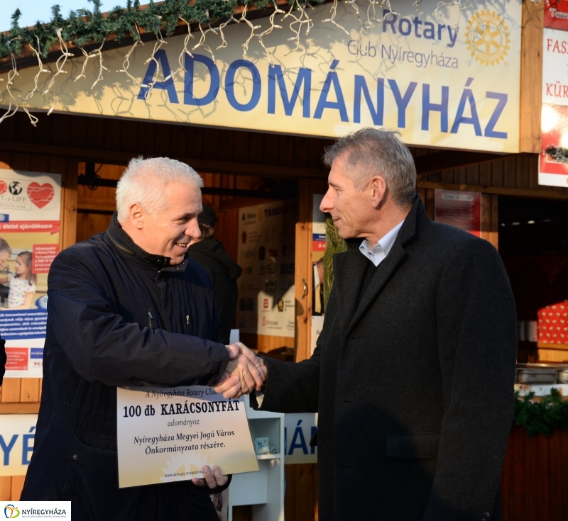 Ajándék fenyőfa a Rotary Club adományaként
