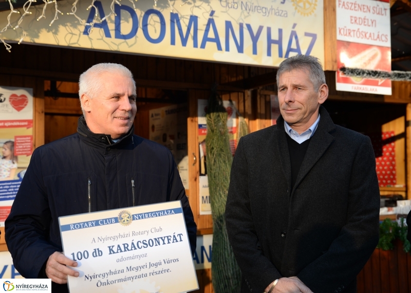 Ajándék fenyőfa a Rotary Club adományaként