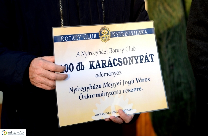 Ajándék fenyőfa a Rotary Club adományaként