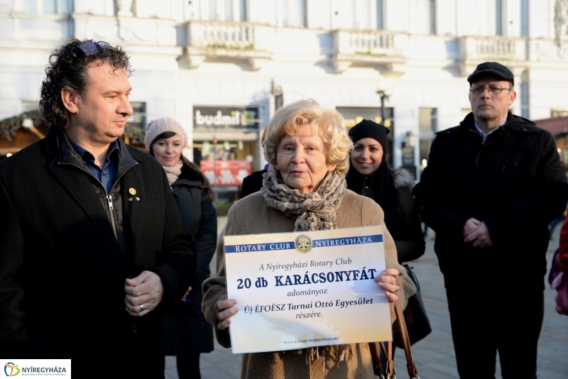 Ajándék fenyőfa a Rotary Club adományaként