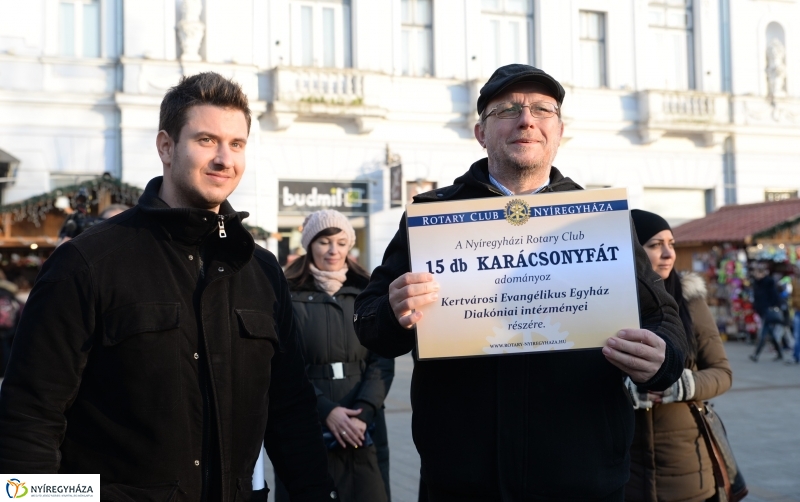 Ajándék fenyőfa a Rotary Club adományaként