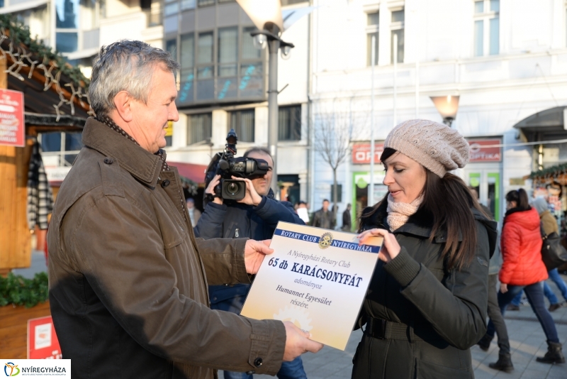 Ajándék fenyőfa a Rotary Club adományaként