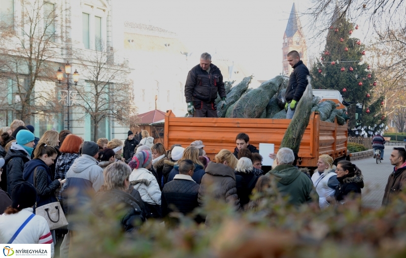 Ajándék fenyőfa a Rotary Club adományaként