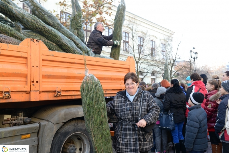 Ajándék fenyőfa a Rotary Club adományaként