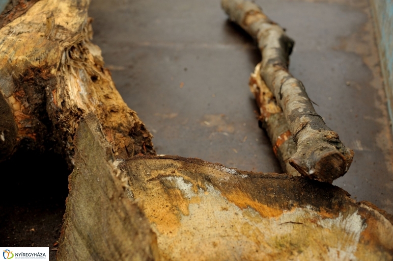 Tűzifa a rászorulóknak