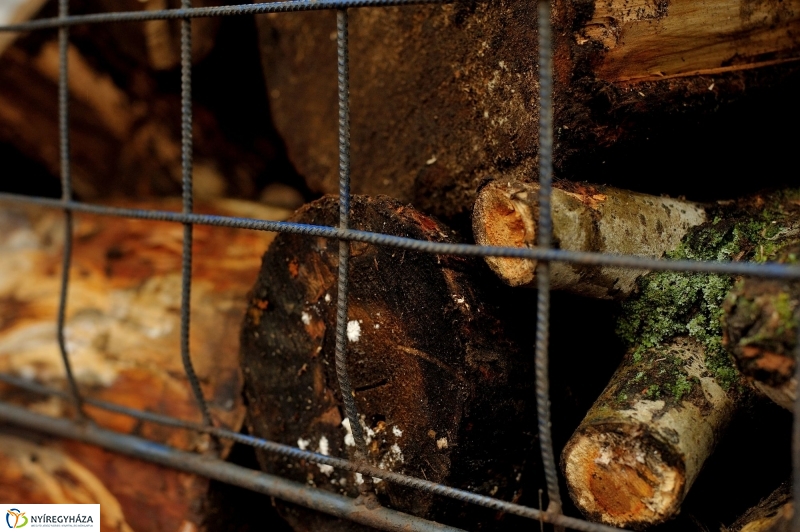 Tűzifa a rászorulóknak