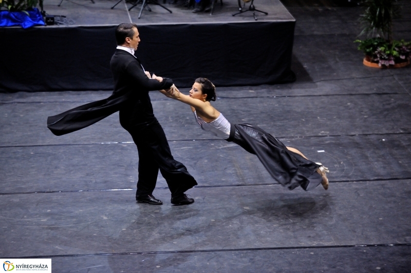 Újévi koncert 2016