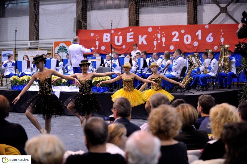 Újévi koncert 2016