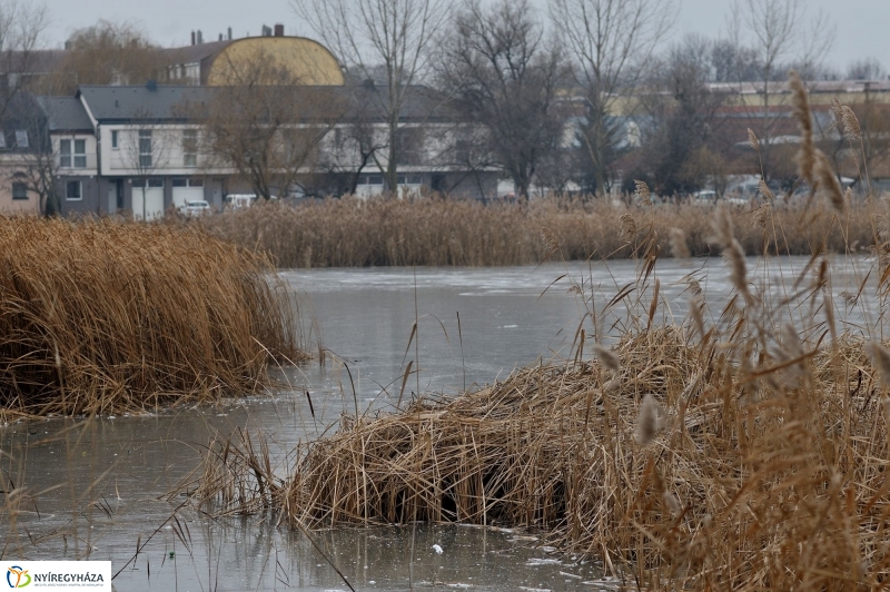 Hó előtti csend a Bujtoson