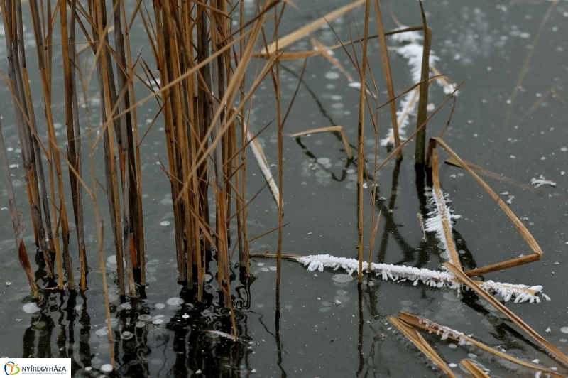 Hó előtti csend a Bujtoson