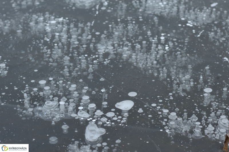 Hó előtti csend a Bujtoson