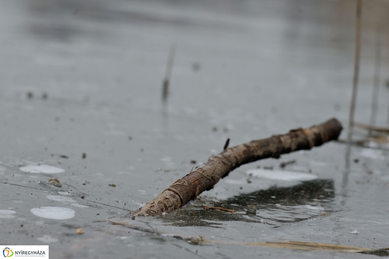 Hó előtti csend a Bujtoson