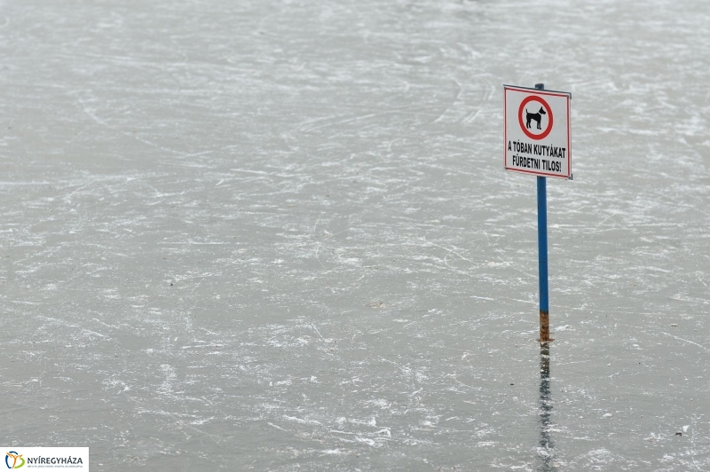 Hó előtti csend a Bujtoson