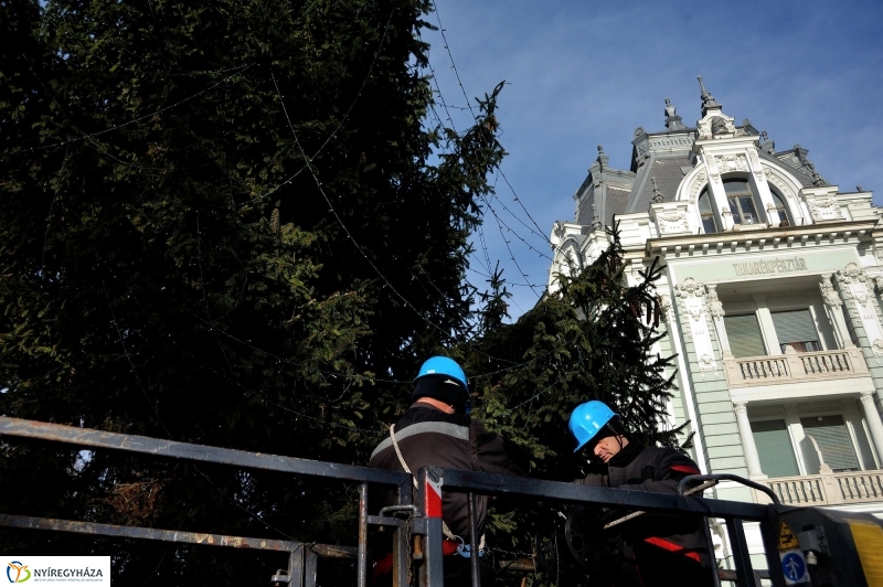 Búcsúzik a karácsonyfa