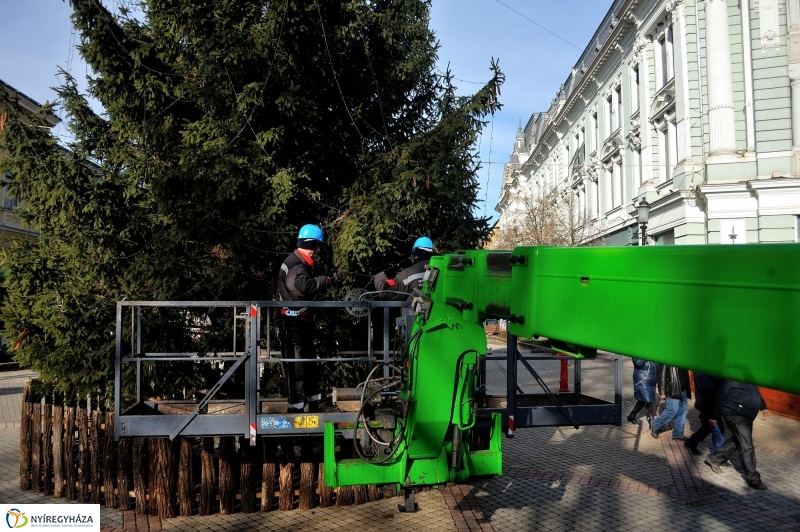 Búcsúzik a karácsonyfa