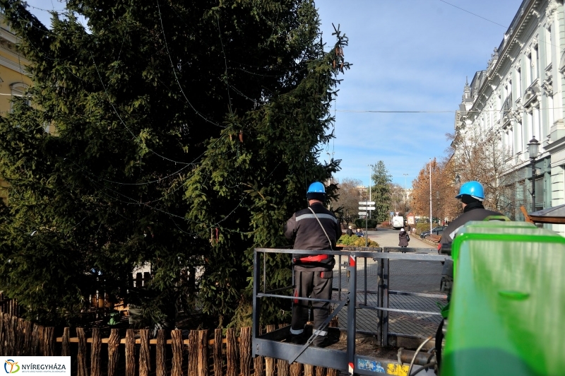 Búcsúzik a karácsonyfa