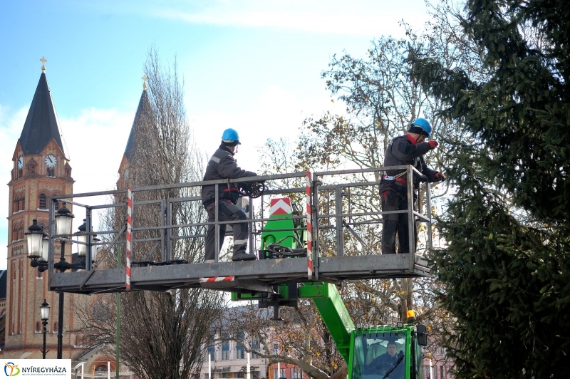 Búcsúzik a karácsonyfa