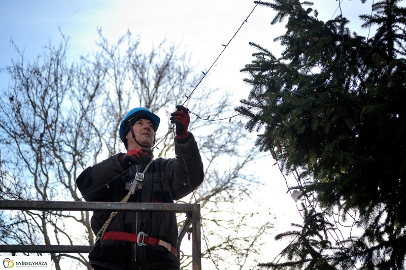 Búcsúzik a karácsonyfa