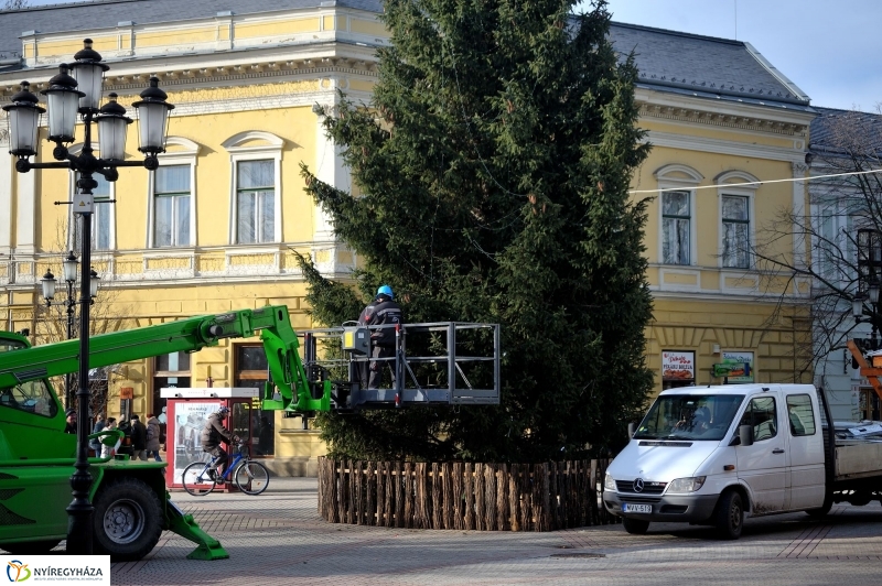 Búcsúzik a karácsonyfa